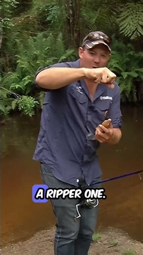 Fishing for River Blackfish!