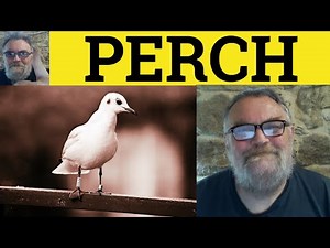 😎 Perch Meaning - Perched Defined - Perch Examples - Perched Definition - Perch Perched