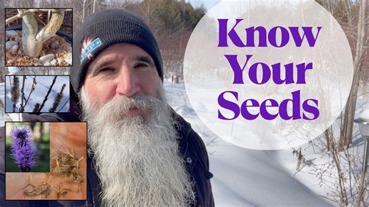 Winter seed identification, native habitat restoration & a garden memory from sweet gale to Oaxaca