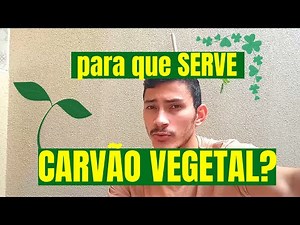Para que serve o CARVÃO VEGETAL no solo - DESCUBRA AQUI!