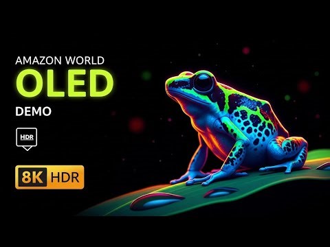Frogs of the Amazon Rainforest 8K HDR – Jungle Nature Sounds for Sleep & Study