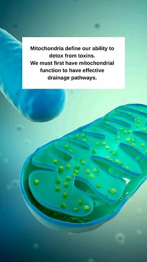 22K views · 56 reactions | QUANTUM DETOX PT 3 Our ability to detox...