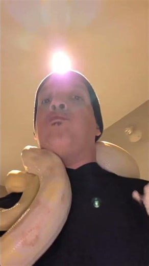 The Snakey Fruit Thief #Snake #toronto