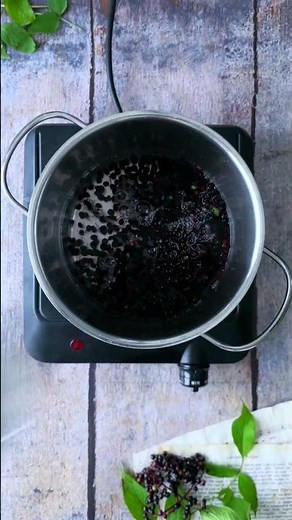 Make your own elderberry syrup from fresh elderberries #shorts