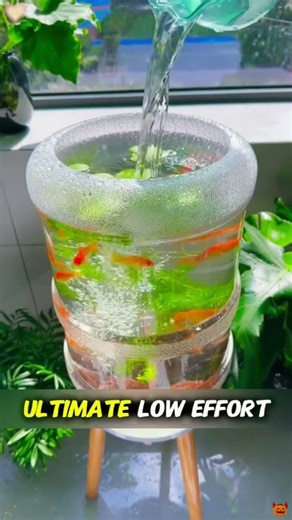 This Guy's 'Cheat Code' for a Clean Fish Tank #lifehack #diy #fishtank #shorts