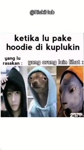 POV: Pas Lu Pake Hoodie Di Kuplukin 😂 #shorts #memes