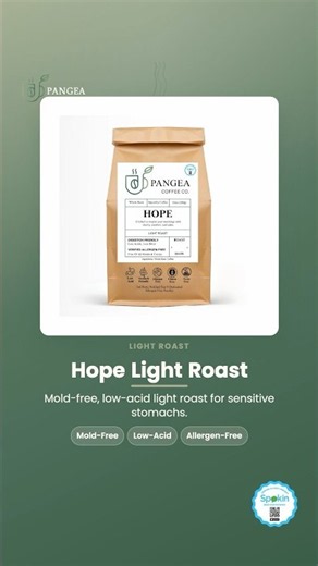 Low Acid Light Roast Coffee — Mornings, Made Gentle