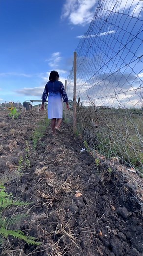 Choosing the Best Live Security Fence for Your Garden