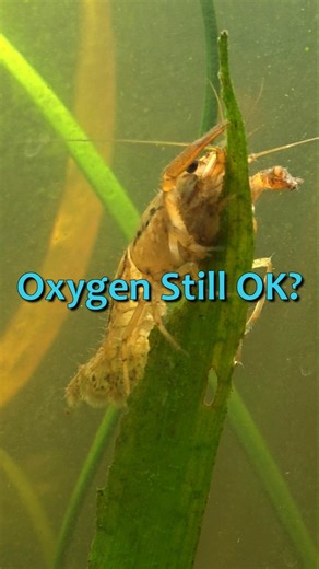 I sealed My Ecosystem, Day 5 Check-in