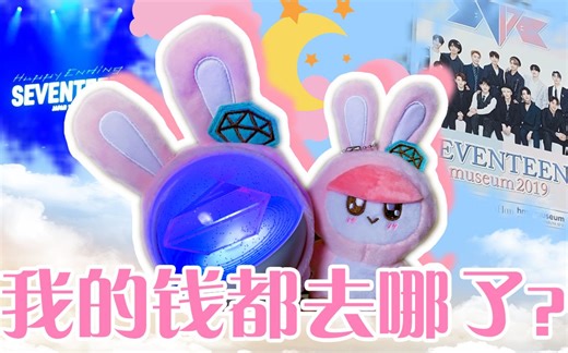 在日本追seventeen三个月会收获什么！？追星私藏大公开