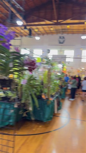 Mark Rivera on Reels