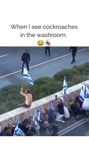 ᴅᴇᴇɴ-ᴇ-ɪsʟᴀᴍ | They are worse than cockroaches! #islam #instagramreels #islamic #islamicpost #viral #reelsviral #trending #explore #alhumdullilah... | Instagram