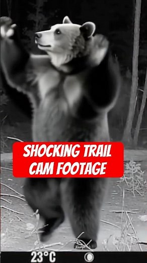 Shocking Trail Cam Footage! 😱📸 | You Won’t Believe What This Camera Caught!