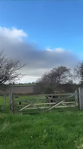 Next please 😏🐕🔥