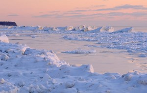 The Misappearance of Steven Kubacki