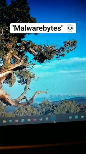 "Malwarebytes" dialogue - Developers didn't know what to do next ahh #meme #shorts