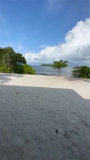 The Educational Value of Political Discourse