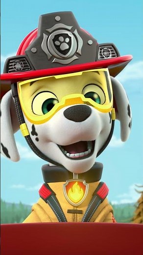 Marshall leads the rescue to stop a forest fire! 🔥🚒