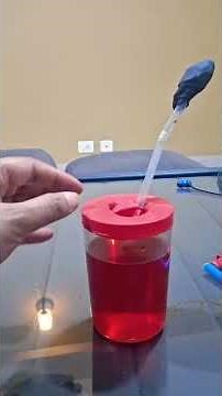 See How Your Heart Actually Pumps Blood #science #experiment #heartbeat