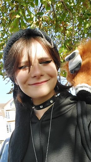 Exploring the World of Dino Mask Fursuits