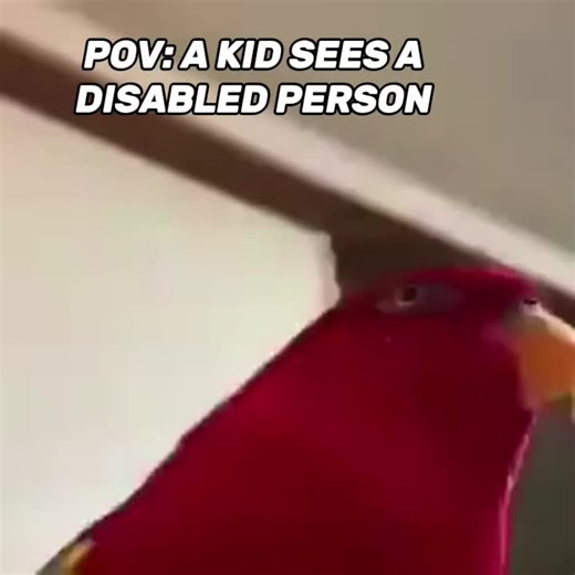 xWraith_of_Noirx on TikTok