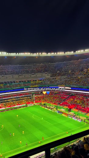 #fyppppppppppppppppppppppp #estadio #clubamerica🦅 #futbol⚽️ #paratiiiiiiiiiiiiiiiiiiiiiiiiiiiiiii
