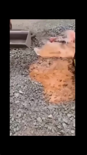 Vim Tools 1/4 Master Impact Socket Set Review