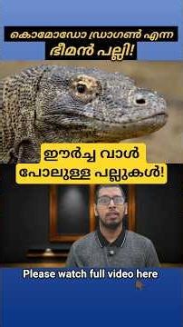 komodo Dragon Facts #faunalyzemalayalam