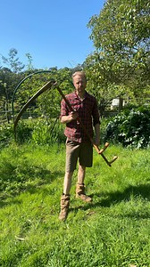 6.7K views · 3.3K reactions | The scythe - it might seem old school but this tool has been a great investment. No electricity, gas or fuel needed. Just a bit of sweat. #scythe #gardening #garden #permaculture #homesteading #organic #nature #natural #organicgardening #cattle | Big Little Farm | Facebook