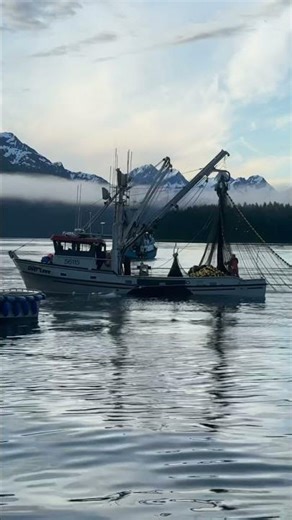Calm morning in Valdez Arm. F/V Deer Cove hauling gear.