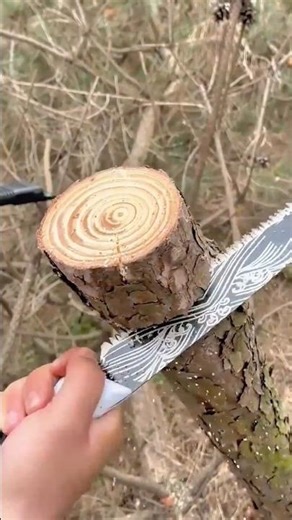 Cutting a Tree Branch with a Hand Saw