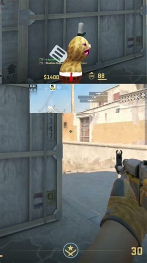 Peanut Plays CS2