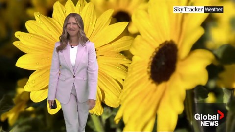 Global Calgary weather anchor startled by surprise guest appearance