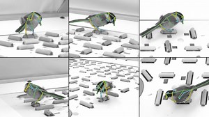 The "barcodes" powering these tiny songbirds' memories may also help human memory : Short Wave