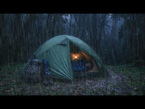 Forest Tent in a Powerful Rainstorm 🌧️⛺⚡ | Sleep Instantly and Relax with Nature Sounds 😴
