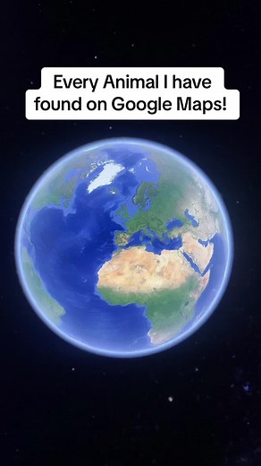 Discover Hidden Animals on Google Maps