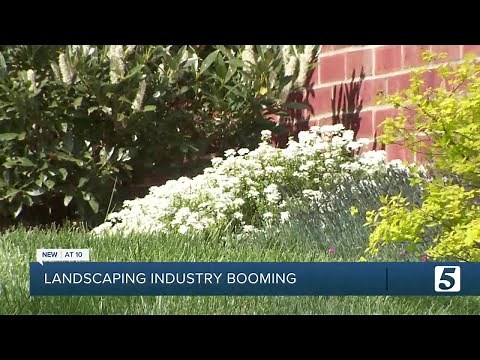 Local landscaping companies see Spring surge in business