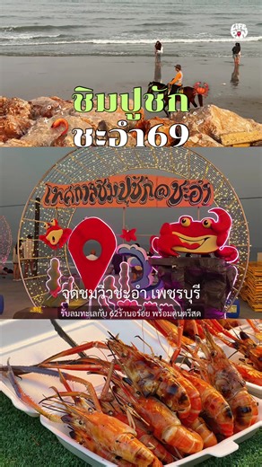 #ชิมปูชักชะอำ ยกทะเลมาไว้บนหาด มี 8 วันเท่านั้น! 14 - 21 มีนาคม 2569 สายซีฟู้ดนี่ห้ามพลาด อะไรมันจะเริ่ดไปกว่าวันหยุด ได้เที่ยวทะเล กินของอร่อยที่รวมมาไว้ที่เดียว พร้อมดนตรีสดสุดชิล มิตรรักสายซีฟู้ดติดพิกัดตามมาด่วนนนน ที่ จุดชมวิวชายหาดชะอำ 📌ชิมปูชัก ตารางการแสดงดนตรี 14 มี.ค. 69 วงด่านเกวียน 15 มี.ค. 69 วงทรายทอง 16 มี.ค. 69 วงไม้ซุง 17 มี.ค. 69 วง TN BAND 18 มี.ค. 69 วงข้าวเปลือก 19 มี.ค. 69 วงกางเกง 20 มี.ค. 69 ม้อคค่าการ์เด้น 21 มี.ค. 69 วงชาเย็น #lifeofpin #ชีวิตติดพิกัด #เที่ยวเพชรบุรี #