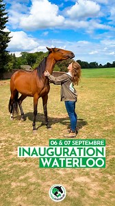 Help Animals ouvre les portes de son nouveau refuge à Waterloo ! 😍 (Non, ce n’est pas un rêve. C’est le fruit de votre soutien et de notre combat commun 🤝🏼) Ces 6 et 7 septembre, venez vivre avec nous un moment historique. L’inauguration officielle de notre refuge de Waterloo, c’est bien plus qu’un simple événement : c’est l’aboutissement d’années d’engagement, et le début d’un nouveau chapitre pour les animaux en détresse. Au programme ? 💚 Des rencontres, de la tendresse, des cocktails (vra