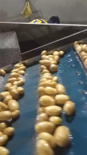 M.I IMPEX (@mi_impex)’s videos with original sound - M.I IMPEX