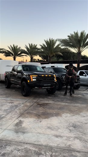 Frisian🐎 o Velociraptor 🤔 #fyp #frisian #raptror #caballosbailadores #mobiledetailer @Chacho._.305