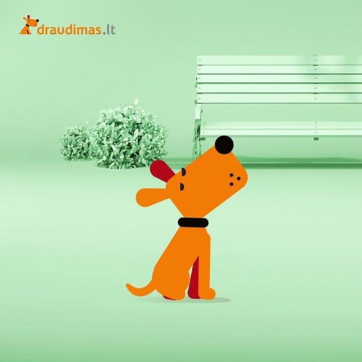 Draudimas.lt - tiems, kas neturi laiko ir kantrybės lyginti draudimo sąlygas.