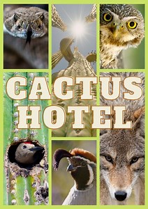 Cactus Hotel