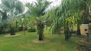Thursday 11:20 am Nothing to report yet. 81 degrees. 15 mph gusts. We are monitoring things and will keep you posted. | Villages Newcomers JERRY and LINDA
