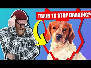 How To Stop Your BRITTANY Barking
