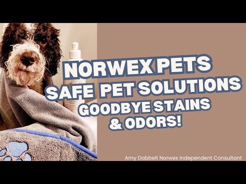 Clean and Safe: Norwex Pet Products You Need to Know About