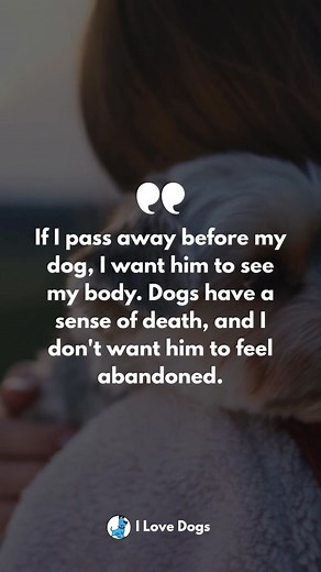 15K views · 493 reactions | The bond between us and our dogs is so deep that it goes beyond words. Their love is unconditional, and their loyalty, unwavering. They sense our emotions, our joys, and our sorrows. It’s heart-wrenching to think about, but the desire to comfort them even in the hardest times shows just how much we care.  Cherish every moment with your furry friend. #UnbreakableBond #LoyalCompanions #LoveBeyondWords | I Love Dogs | Facebook