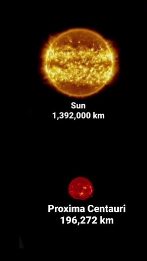 Sun vs Proxima Centauri by the True Size #proximacentauri #sun #star #stars #space