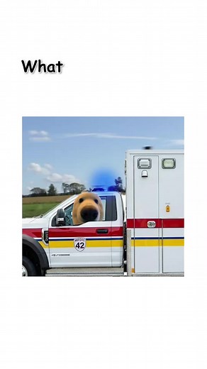 A Day in the Life of an EMT: Insights and Experiences