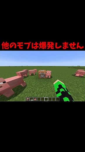 モブを爆発させる方法！？【マイクラ】【コマンド】